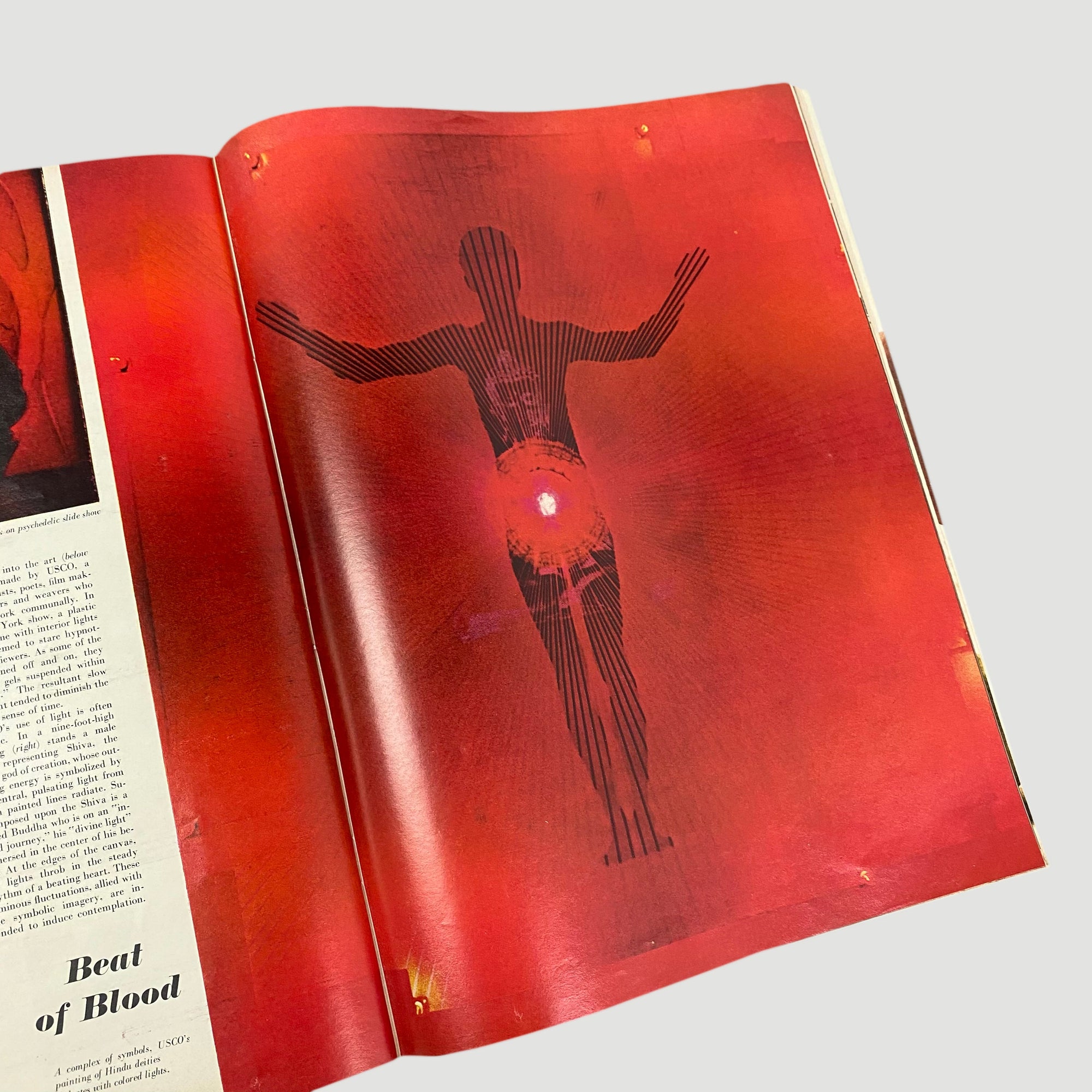 1966 Life Magazine LSD Art Issue