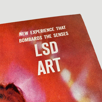 1966 Life Magazine LSD Art Issue