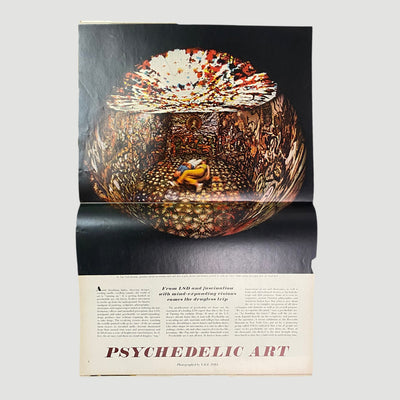 1966 Life Magazine LSD Art Issue