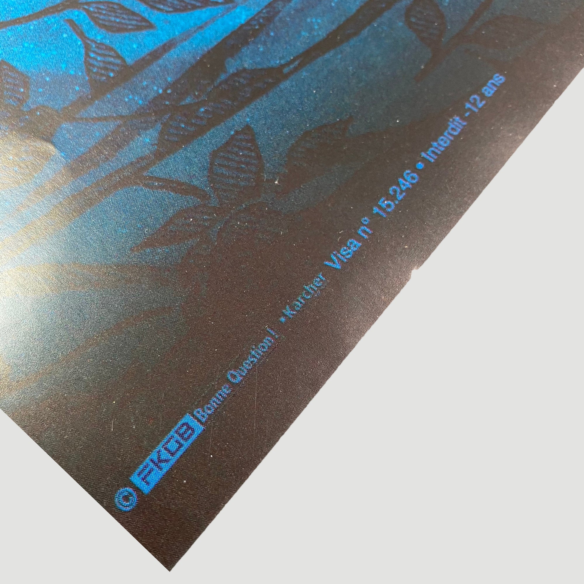 1997 Perfect Blue French Movie Poster