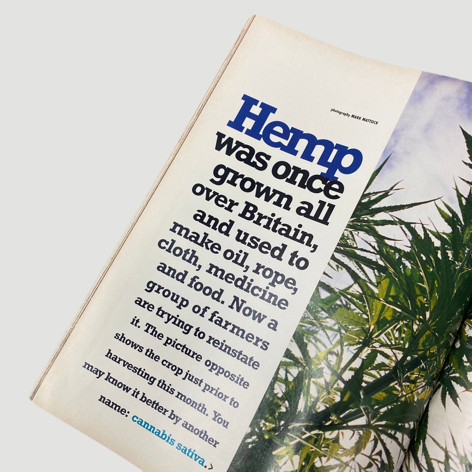 1993 The Face Magazine Cannabis Issue