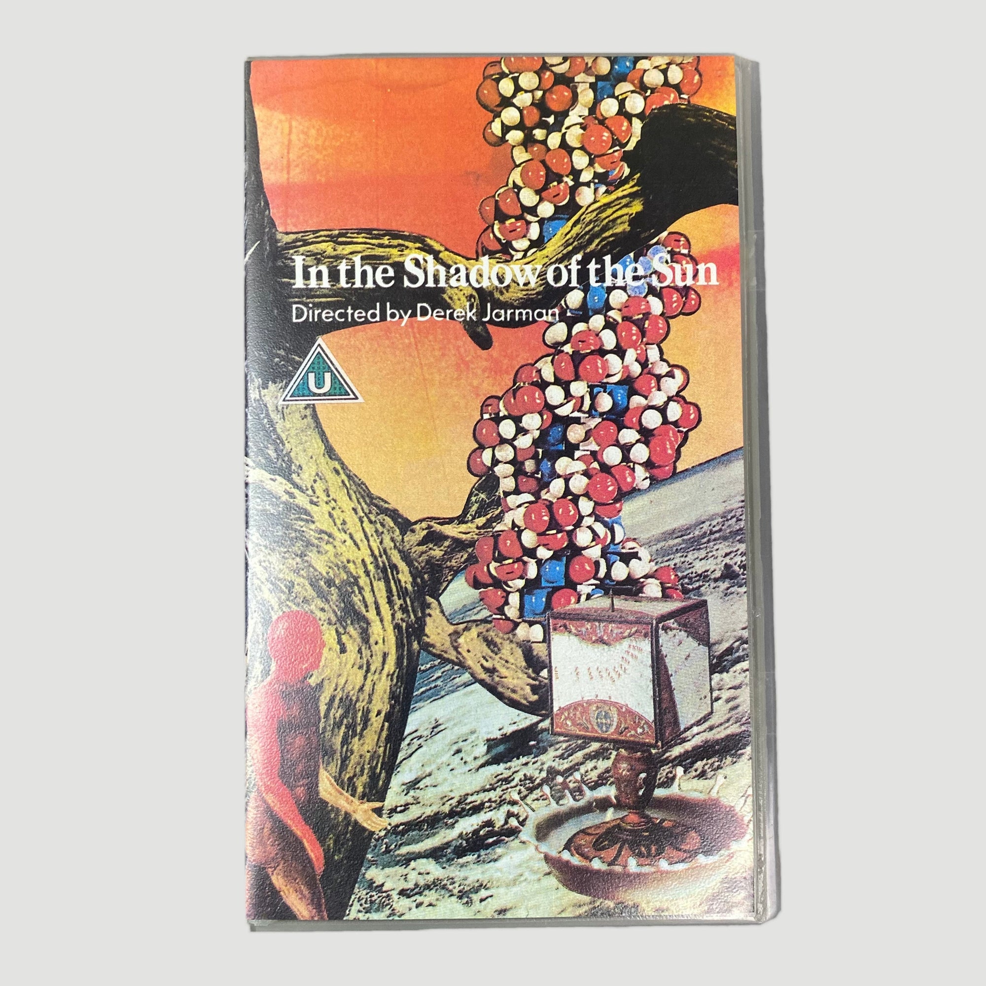1981 Derek Jarman 'In The Shadow of the Sun' VHS