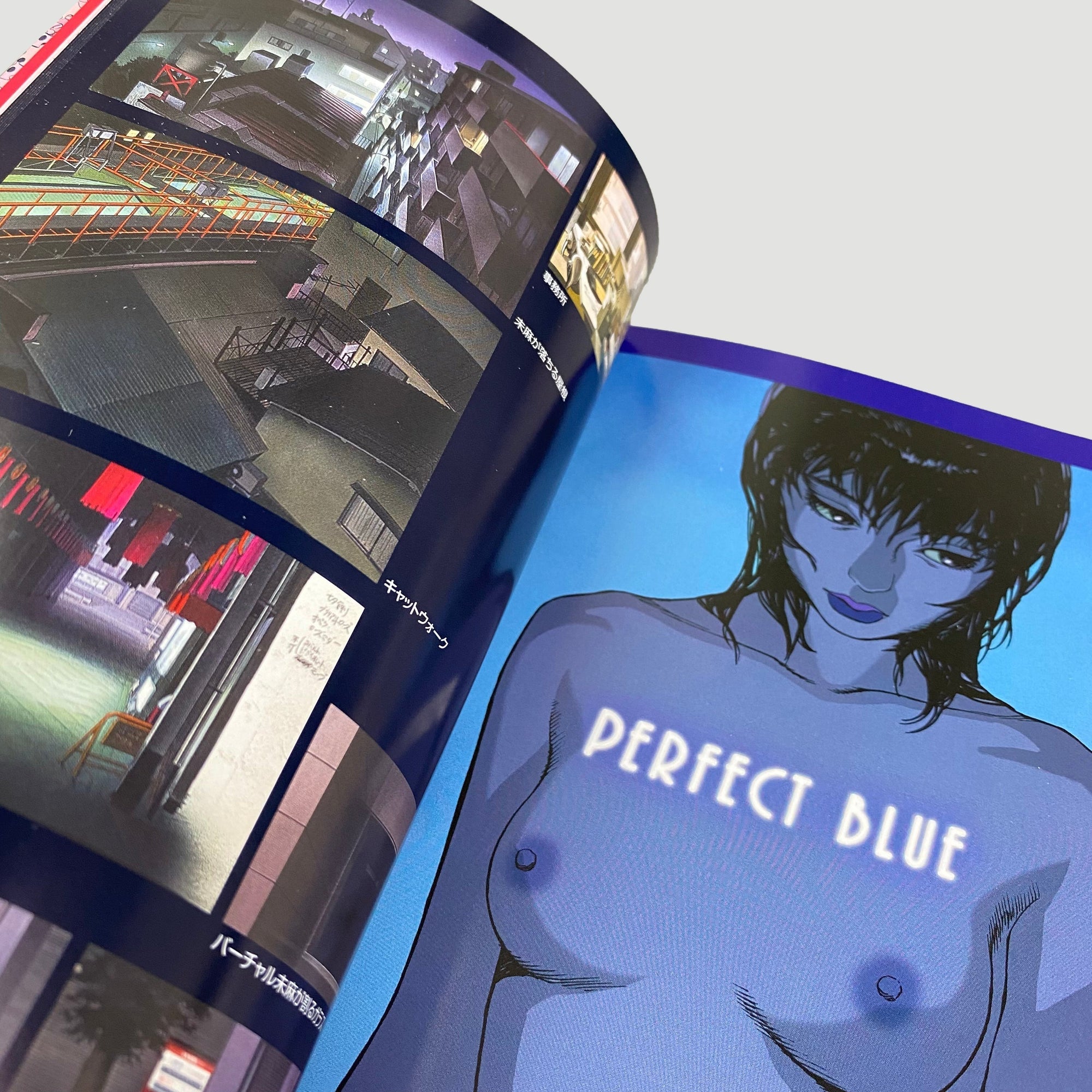 2019 Perfect Blue Storyboard Book