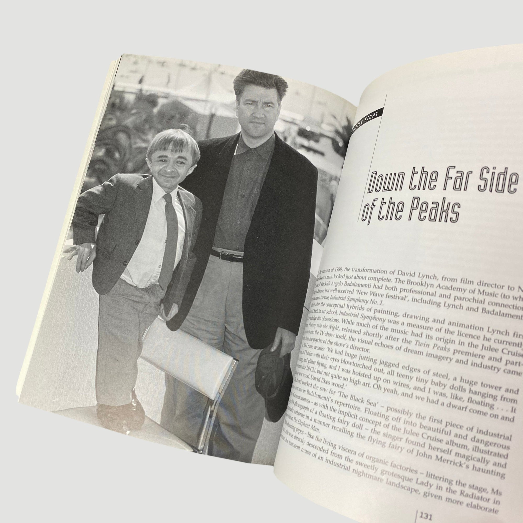 2000 'Weirdsville USA: The Obsessive Universe of David Lynch'