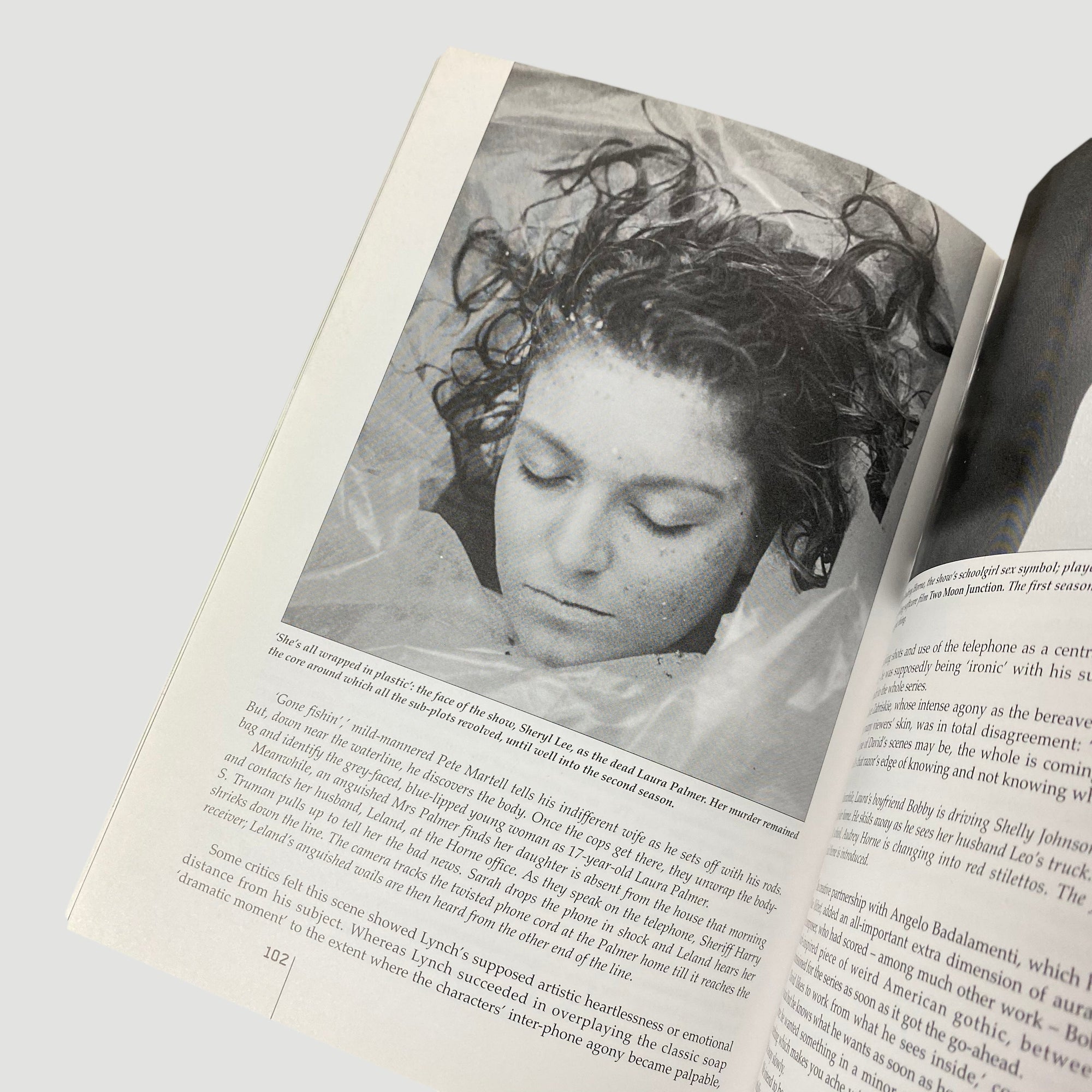 2000 'Weirdsville USA: The Obsessive Universe of David Lynch'