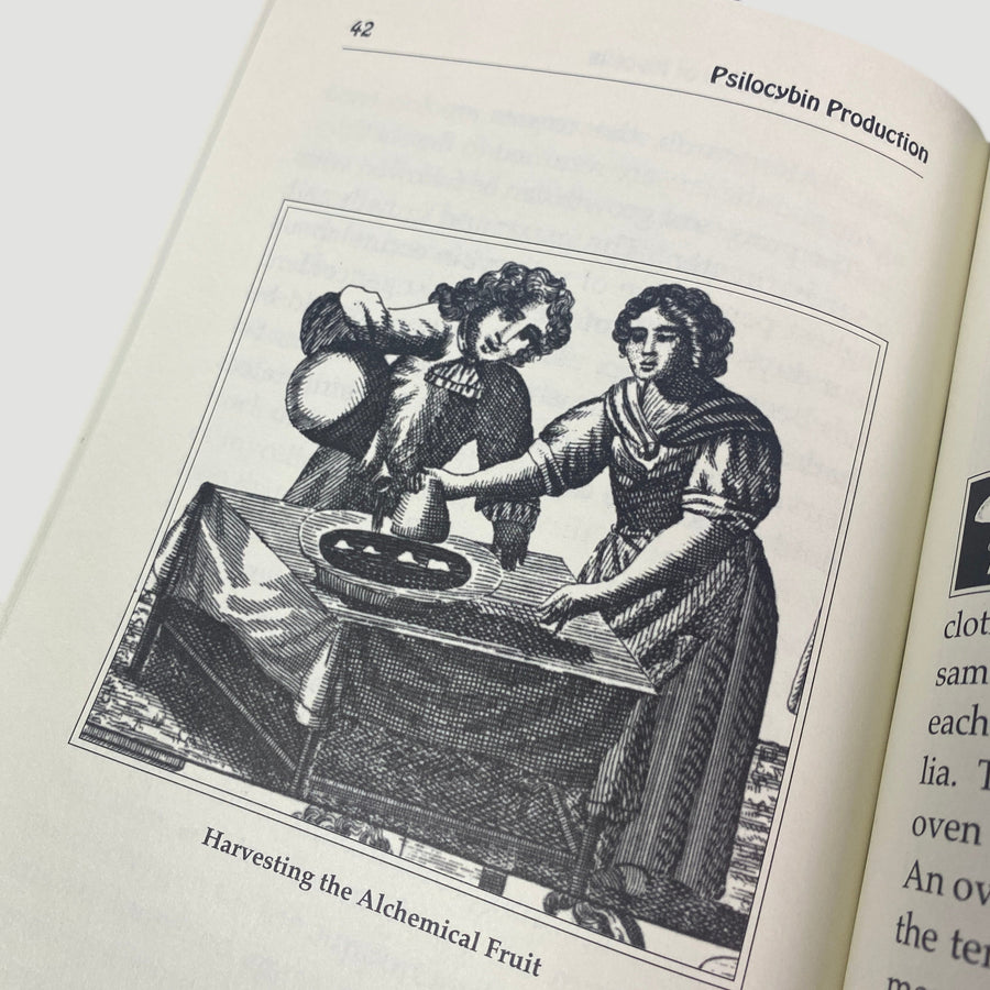 1997 Psilocybin Production Adam Gottlieb