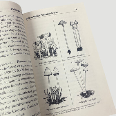 1997 Psilocybin Production Adam Gottlieb