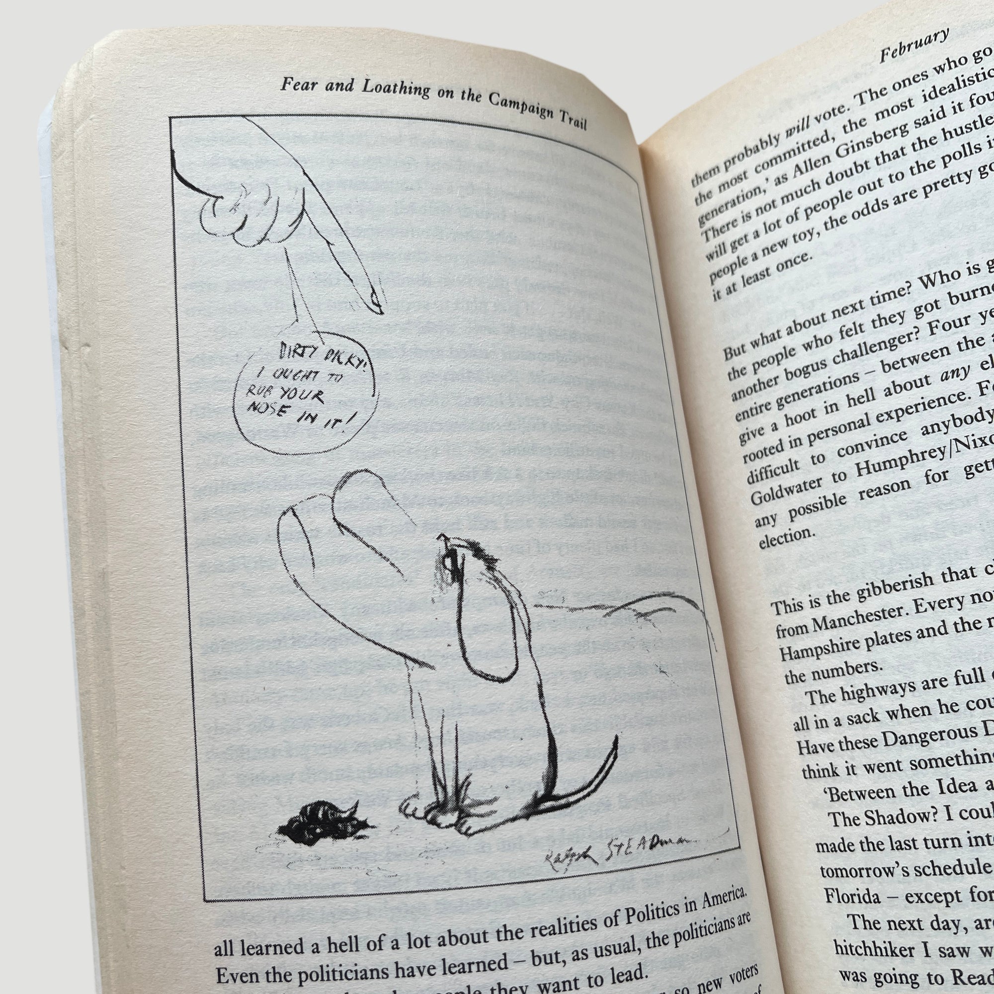 90's Fear and Loathing: On the Campaign Trail ‘72 Book