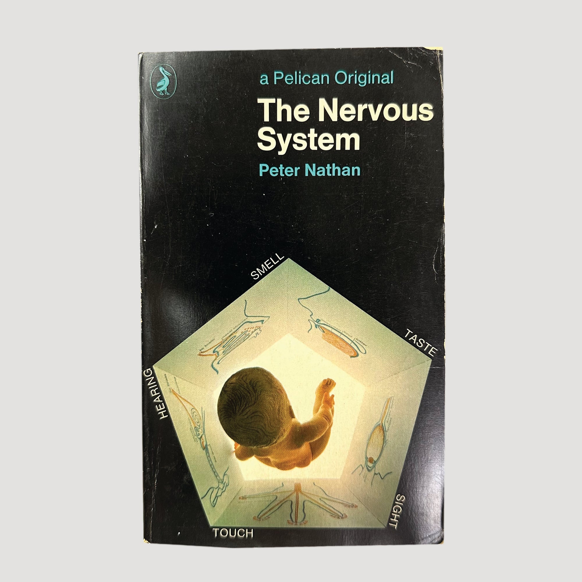 70's The Nervous System Pelican