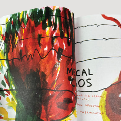 2005 The Book of David Shrigley 1st Edition