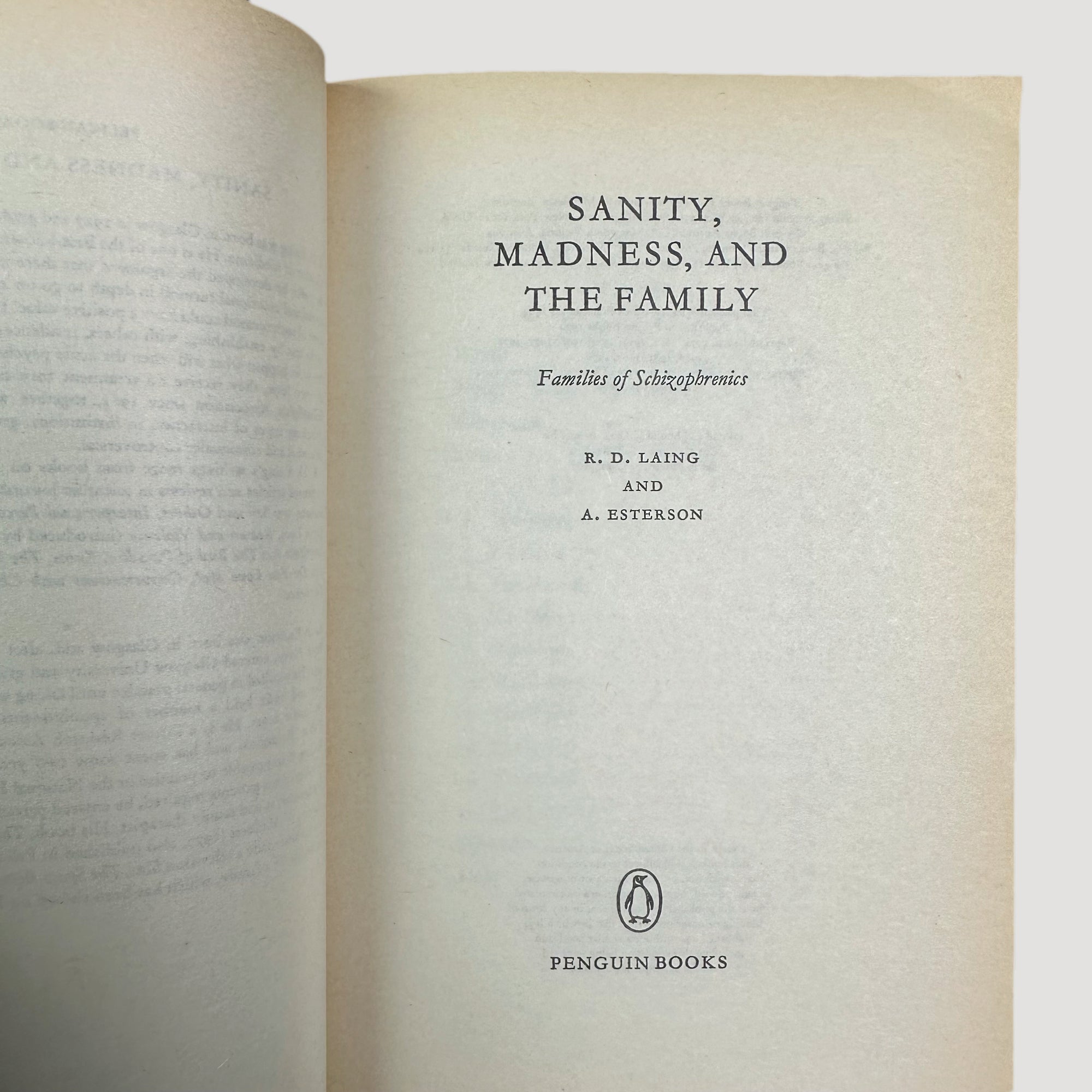 80s Sanity, Madness and the Family Pelican