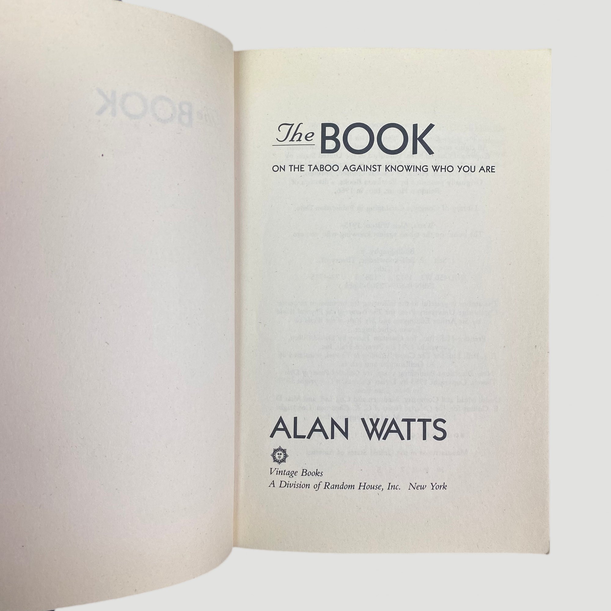 90's Alan Watts 'The Book