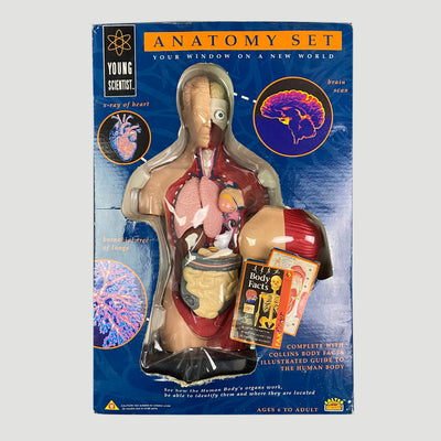 90's Anatomy Set