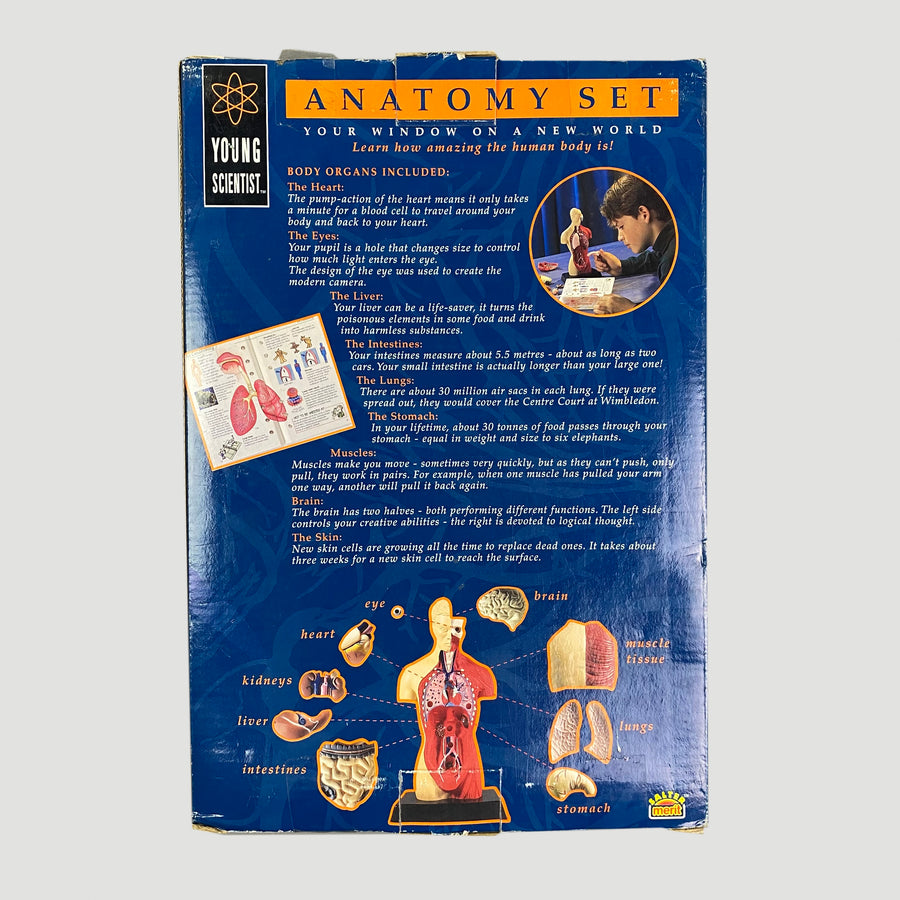 90's Anatomy Set