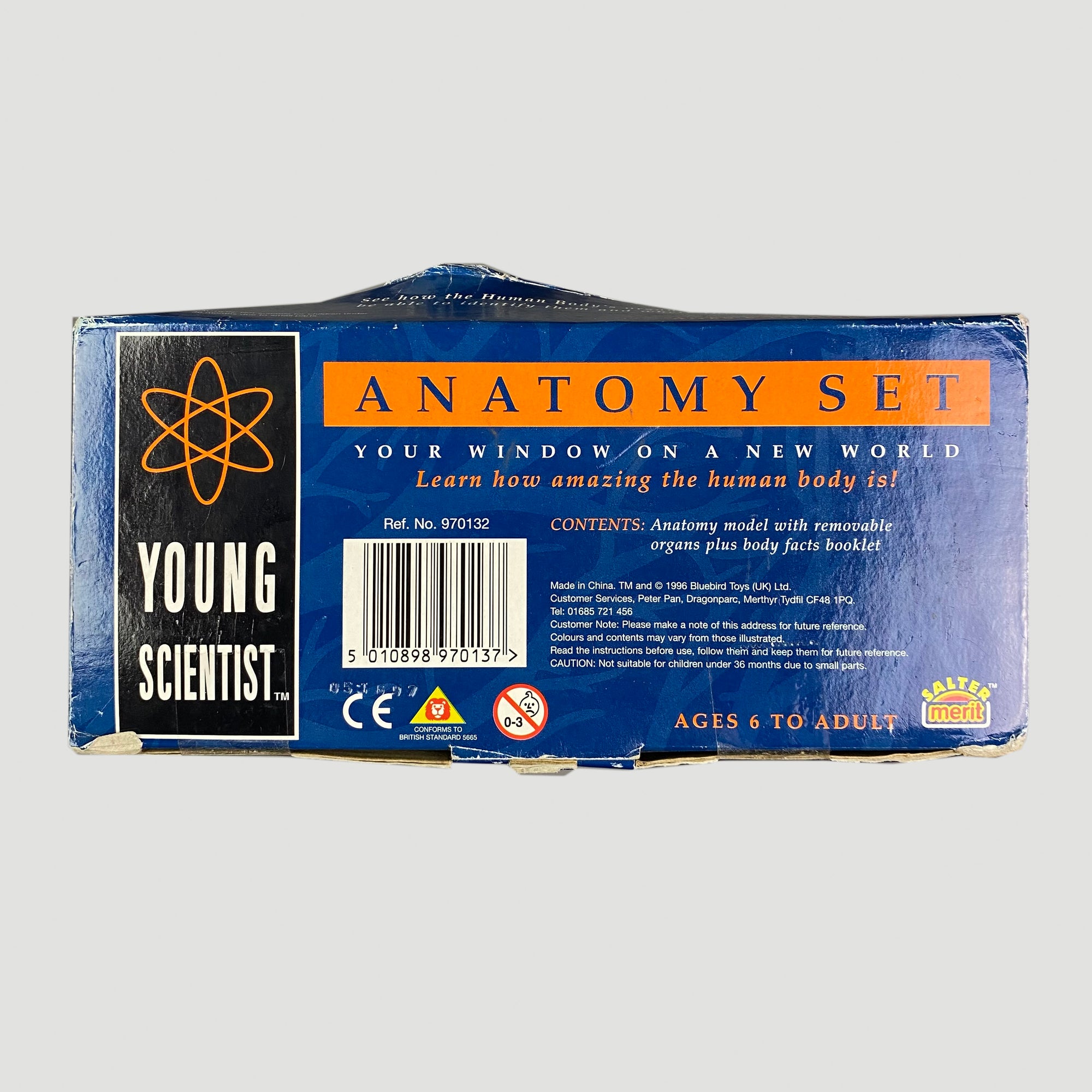 90's Anatomy Set