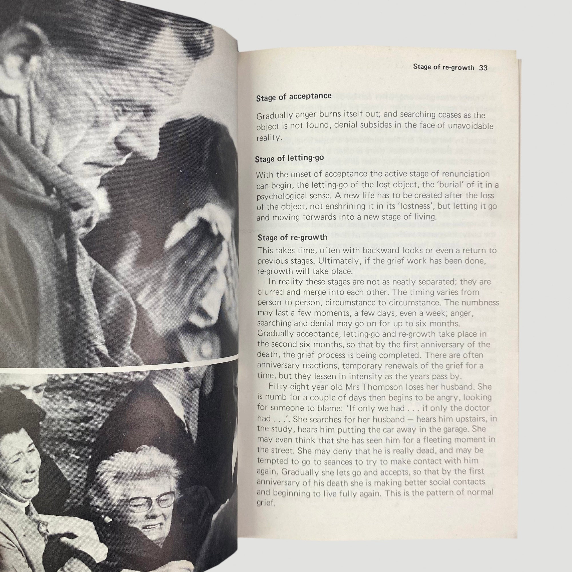 1975 Ross Mitchell Depression Pelican