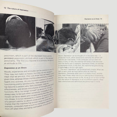 1975 Ross Mitchell Depression Pelican