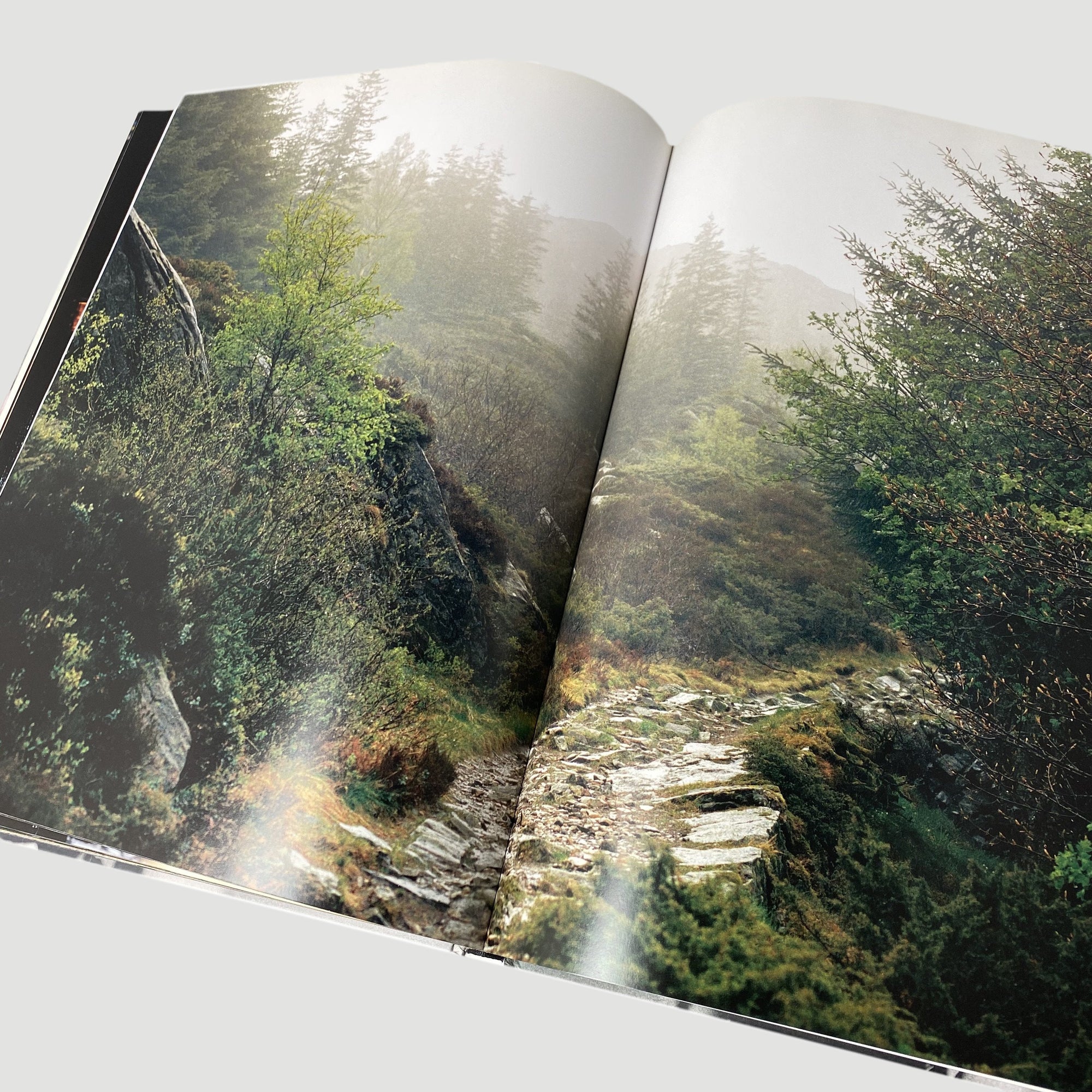 2008 True Norwegian Black Metal by Peter Beste