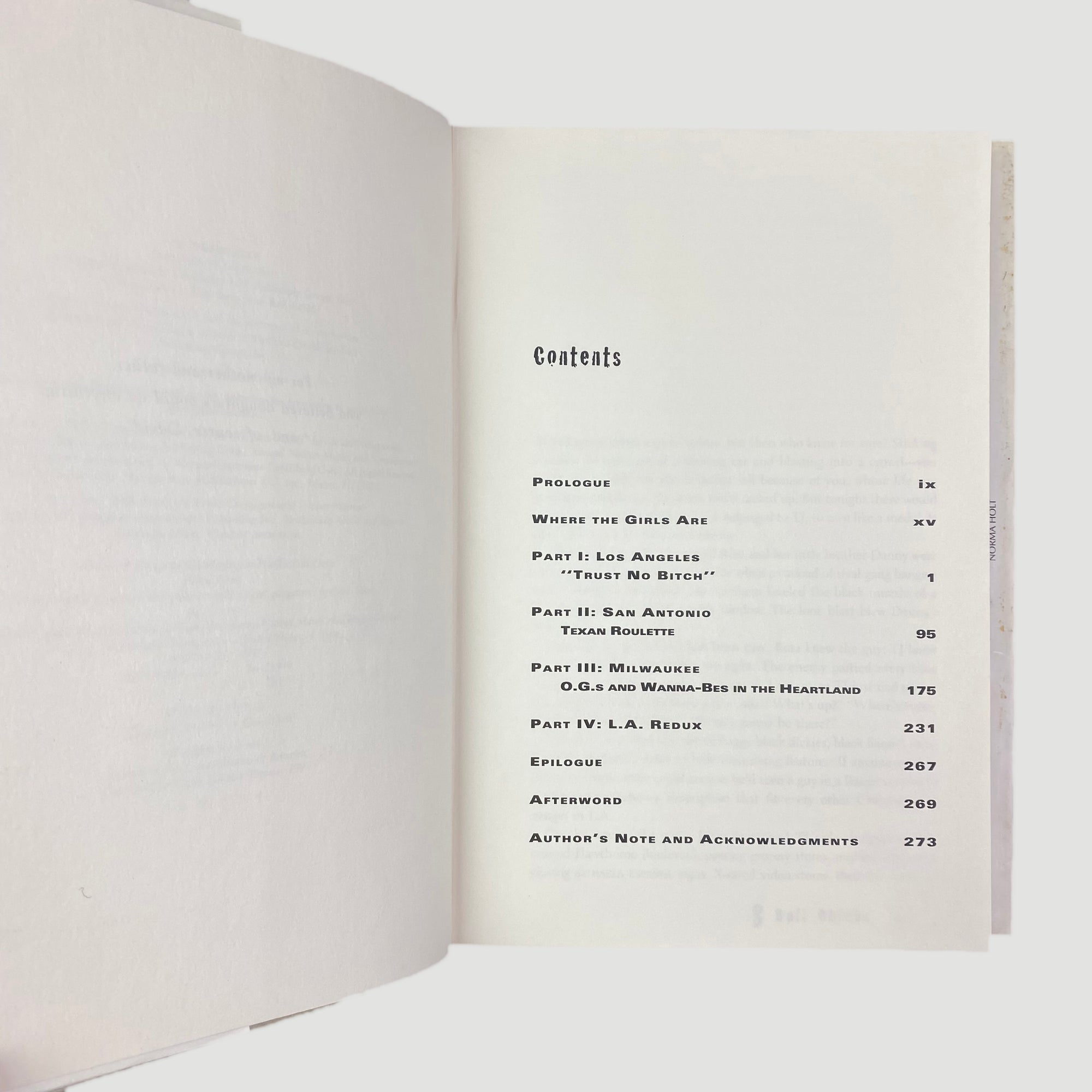 1997 8 Ball Chicks by Gini Sikes Hardback