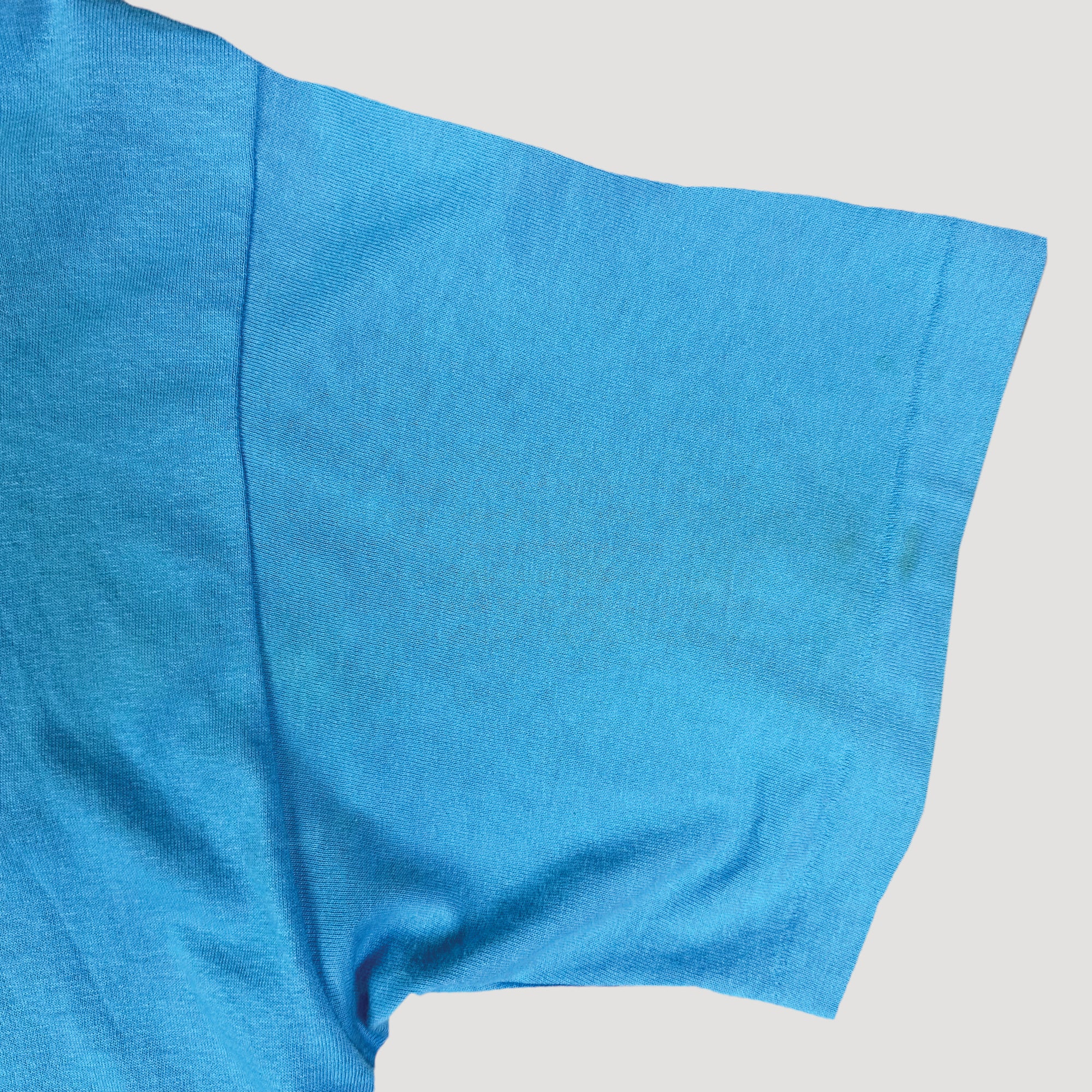 90's Fruit of the Loom Basic Blue T-Shirt