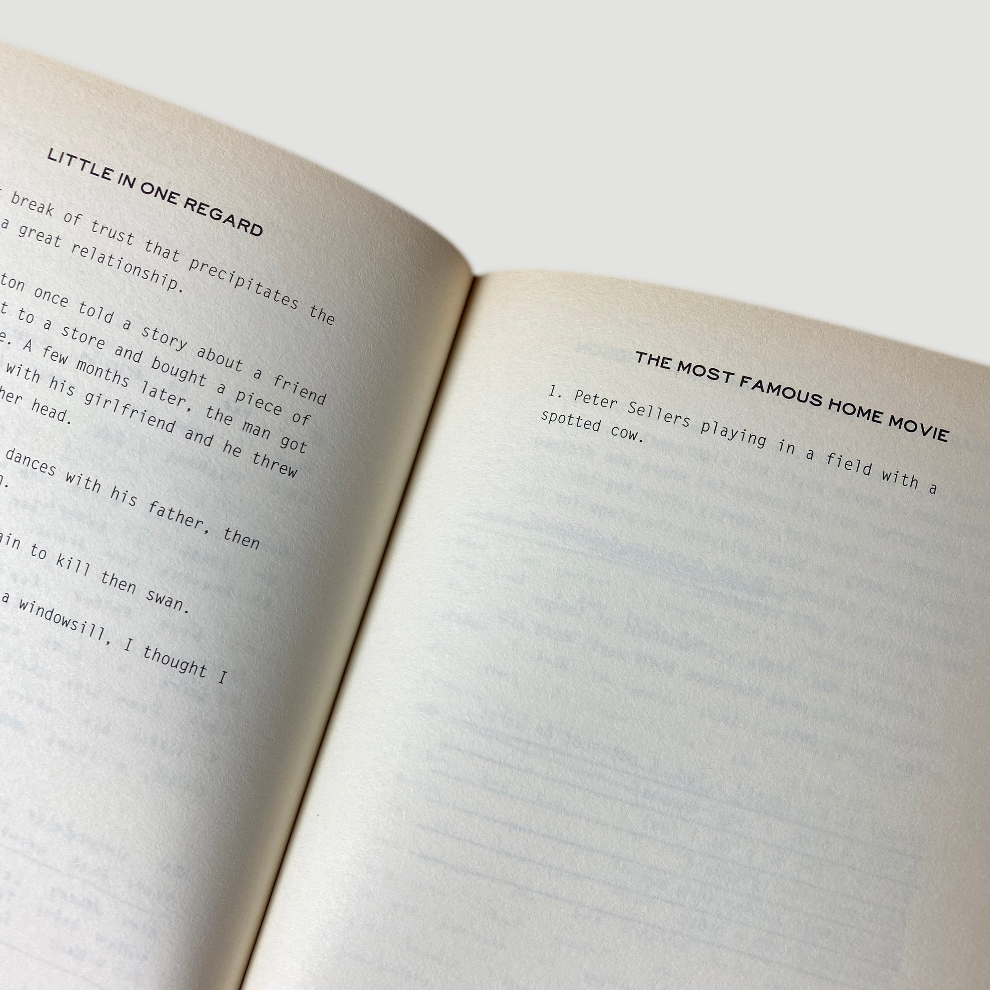 1999 Harmony Korine ‘A Crackup At The Race Riots’