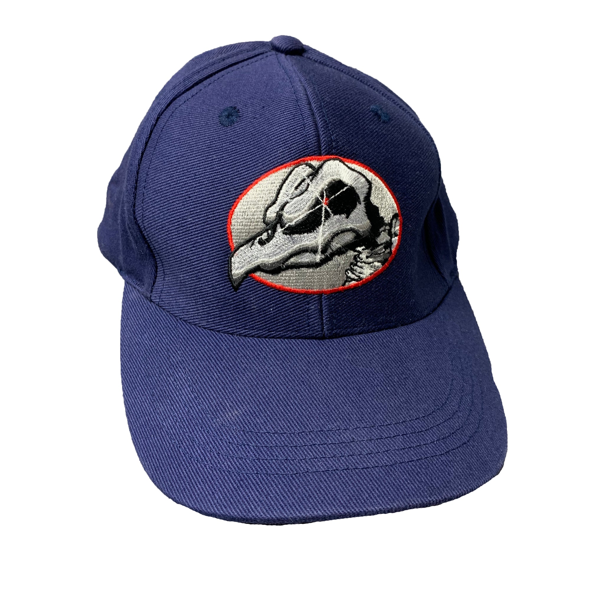 00's Tony Hawk Birdhouse Cap