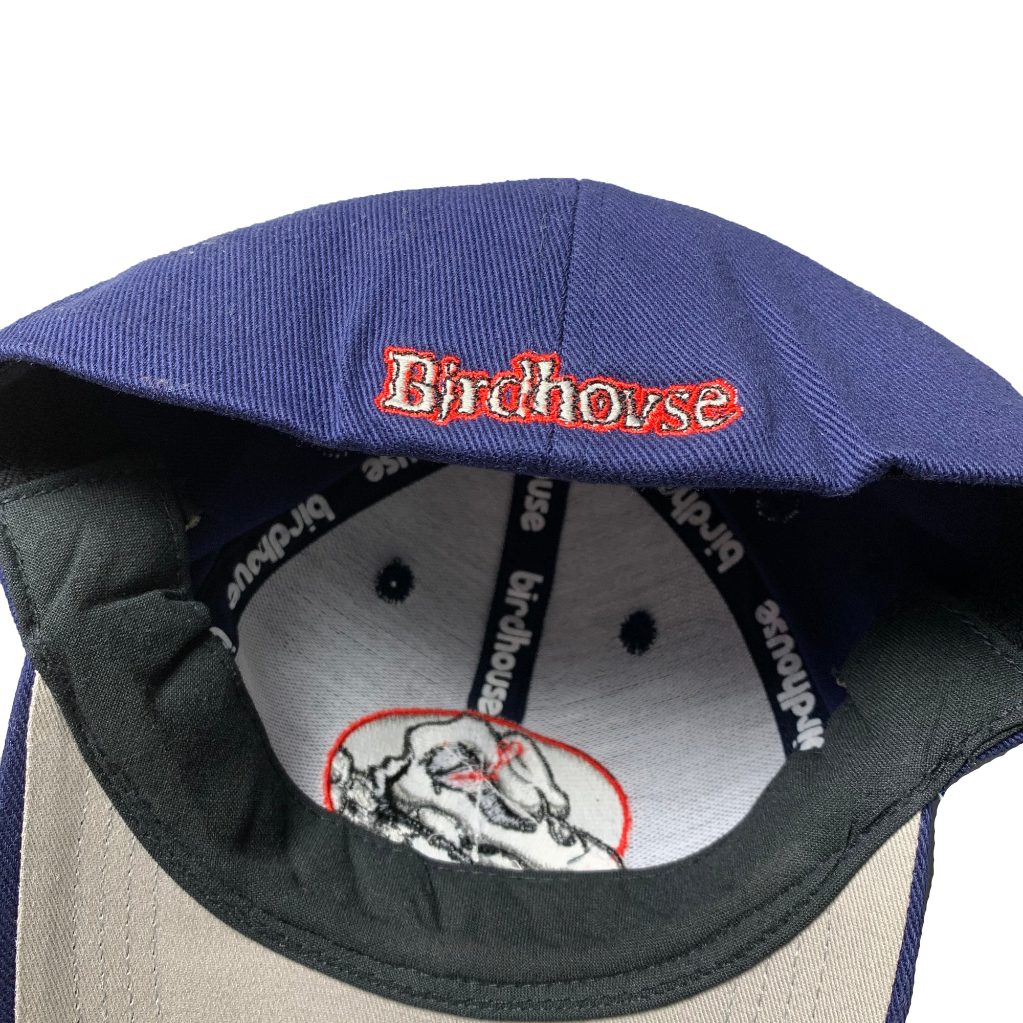00's Tony Hawk Birdhouse Cap