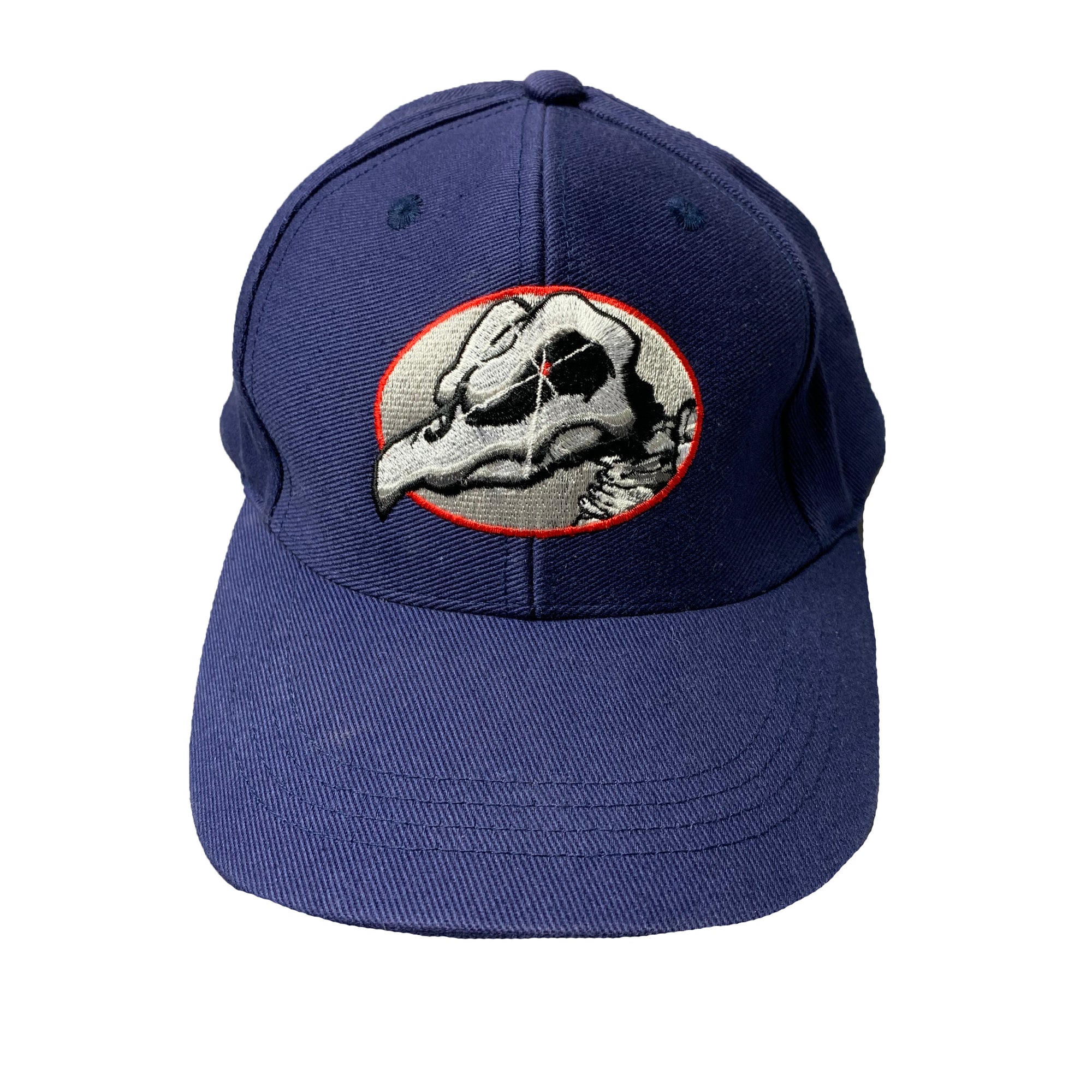 00's Tony Hawk Birdhouse Cap