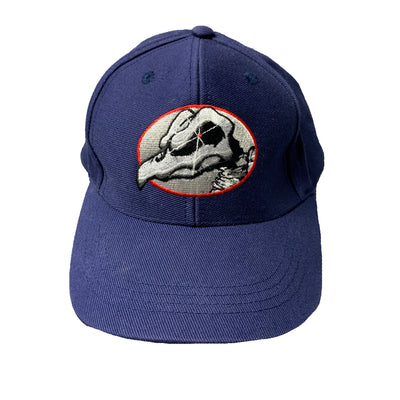 00's Tony Hawk Birdhouse Cap