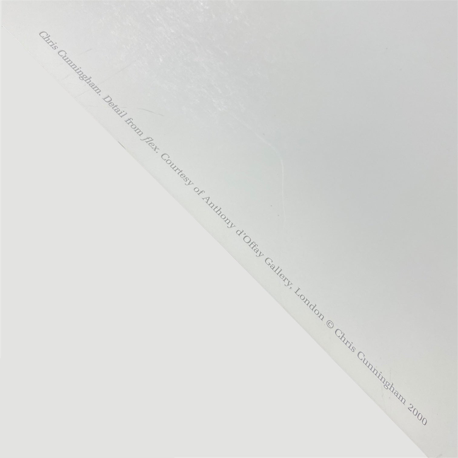 2000 Chris Cunningham 'Flex' Art Print