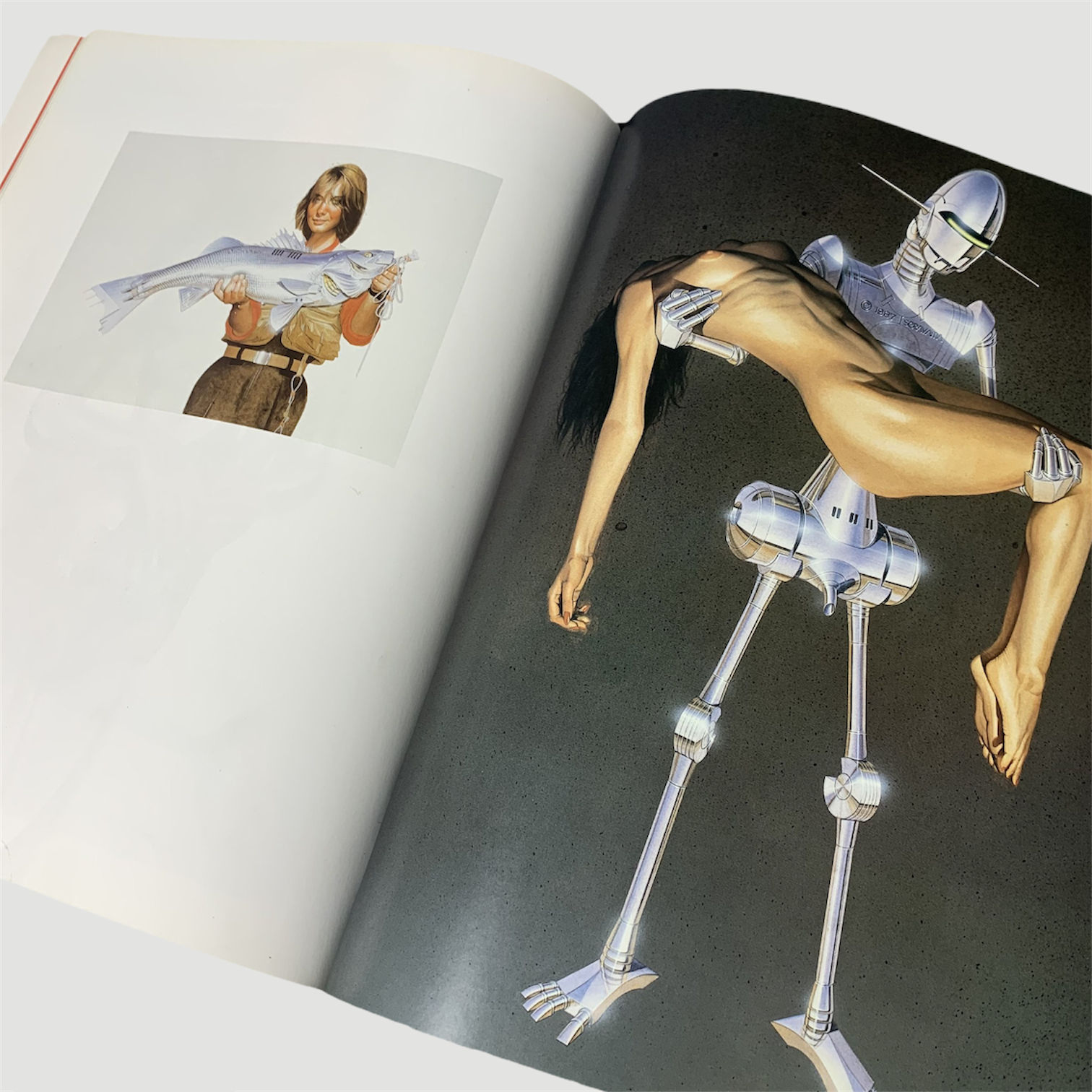 1991 Hajime Sorayama Photo Book