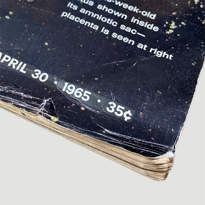 1965 Life Magazine 'Drama of Life Before Birth' Issue