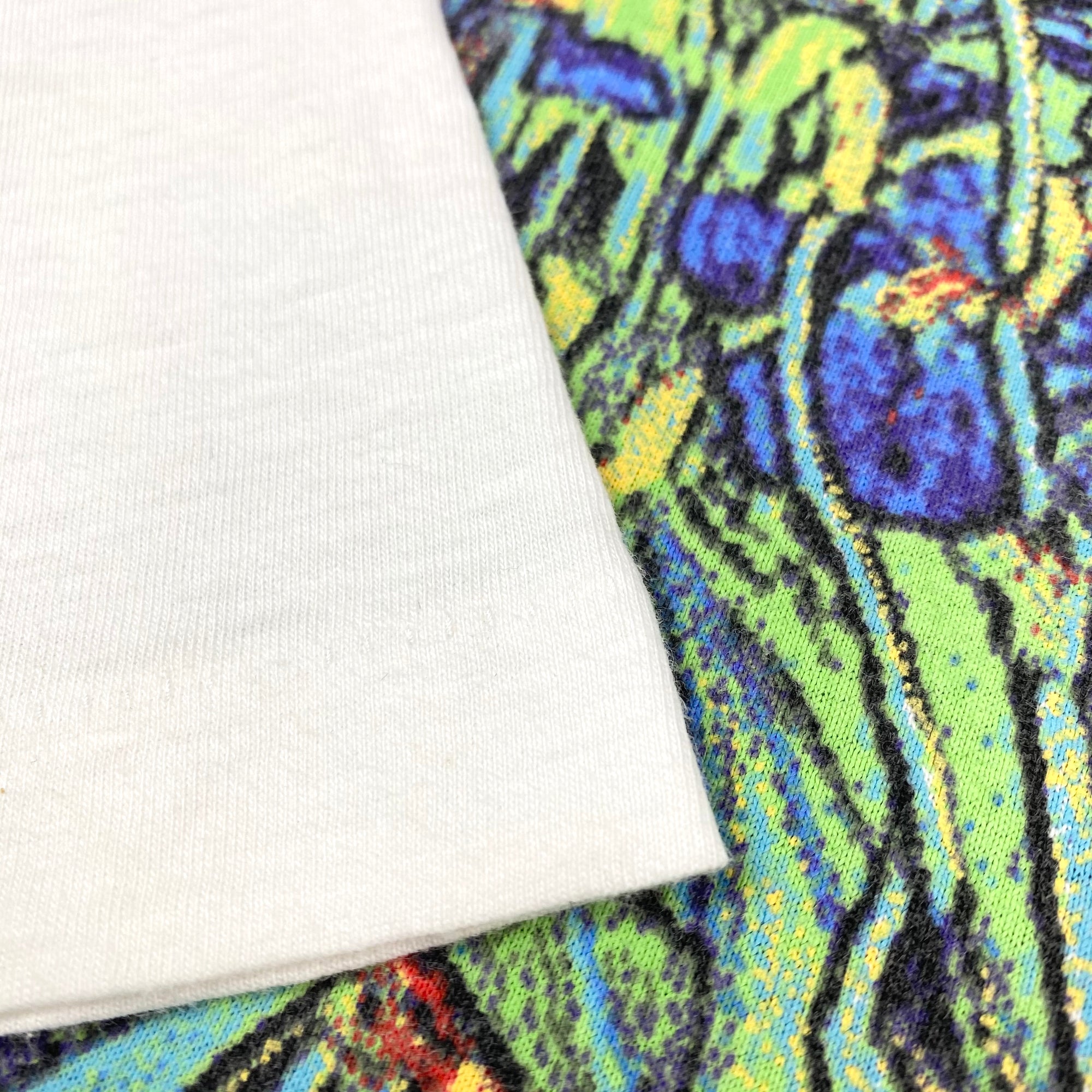 90's Van Gogh 'Irises' T-Shirt