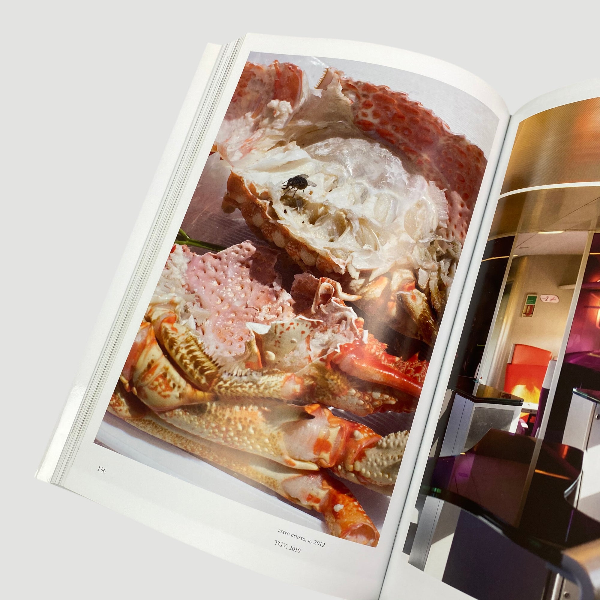 2017 Chris Dercon & Helen Sainsbury 'Wolfgang Tillmans 2017'