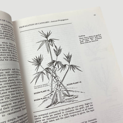 1981 Robert Connell Clarke 'Marijuana Botany'