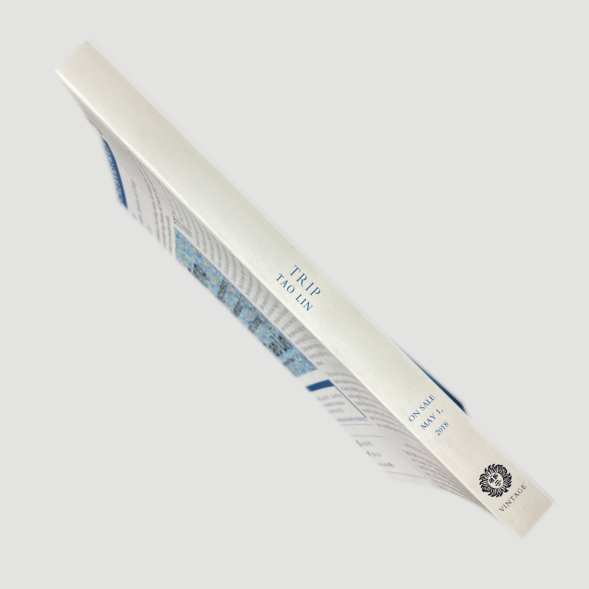 2018 Tao Lin 'Trip: Psychedelics, Alienation, and Change'