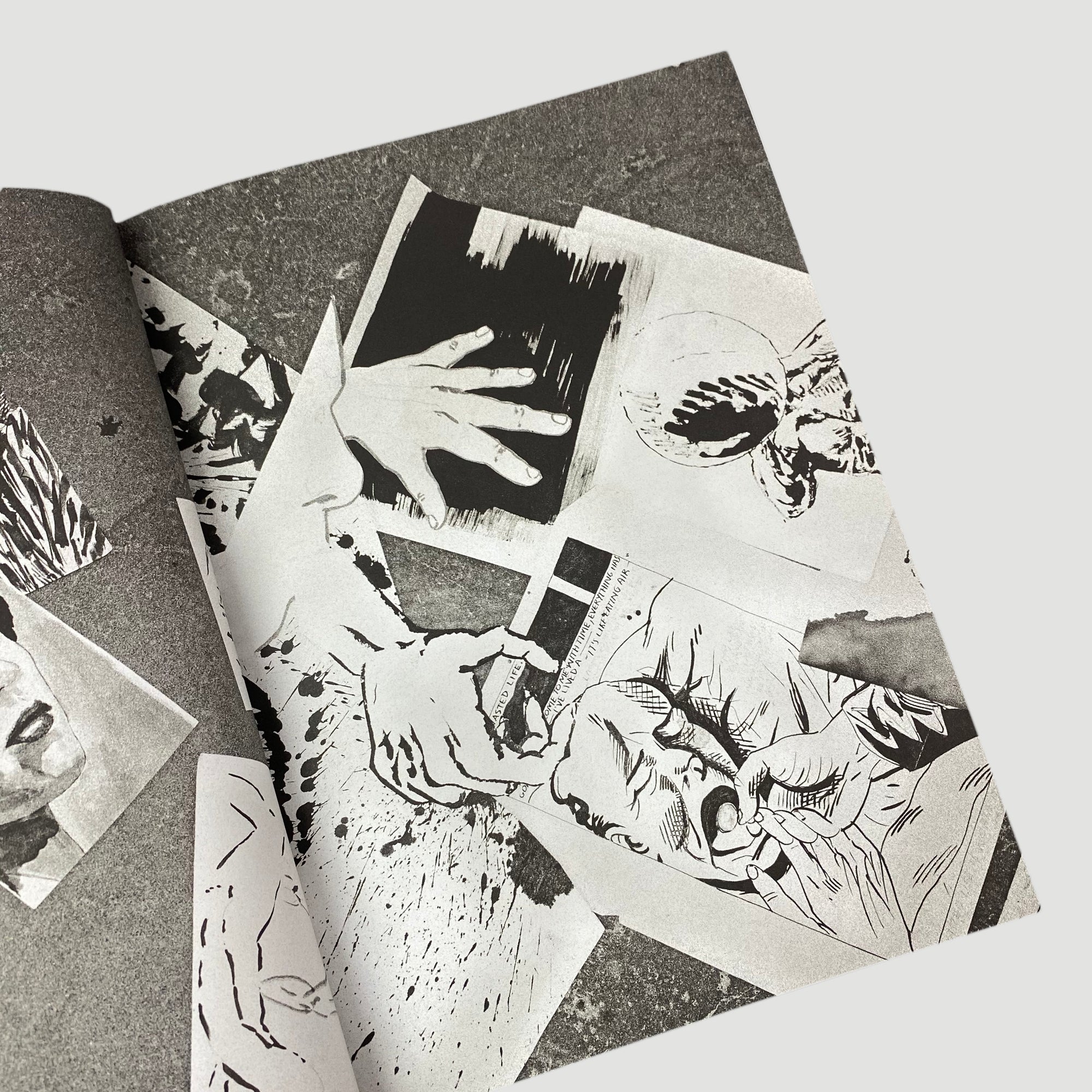 2014 Raymond Pettibon: To Wit