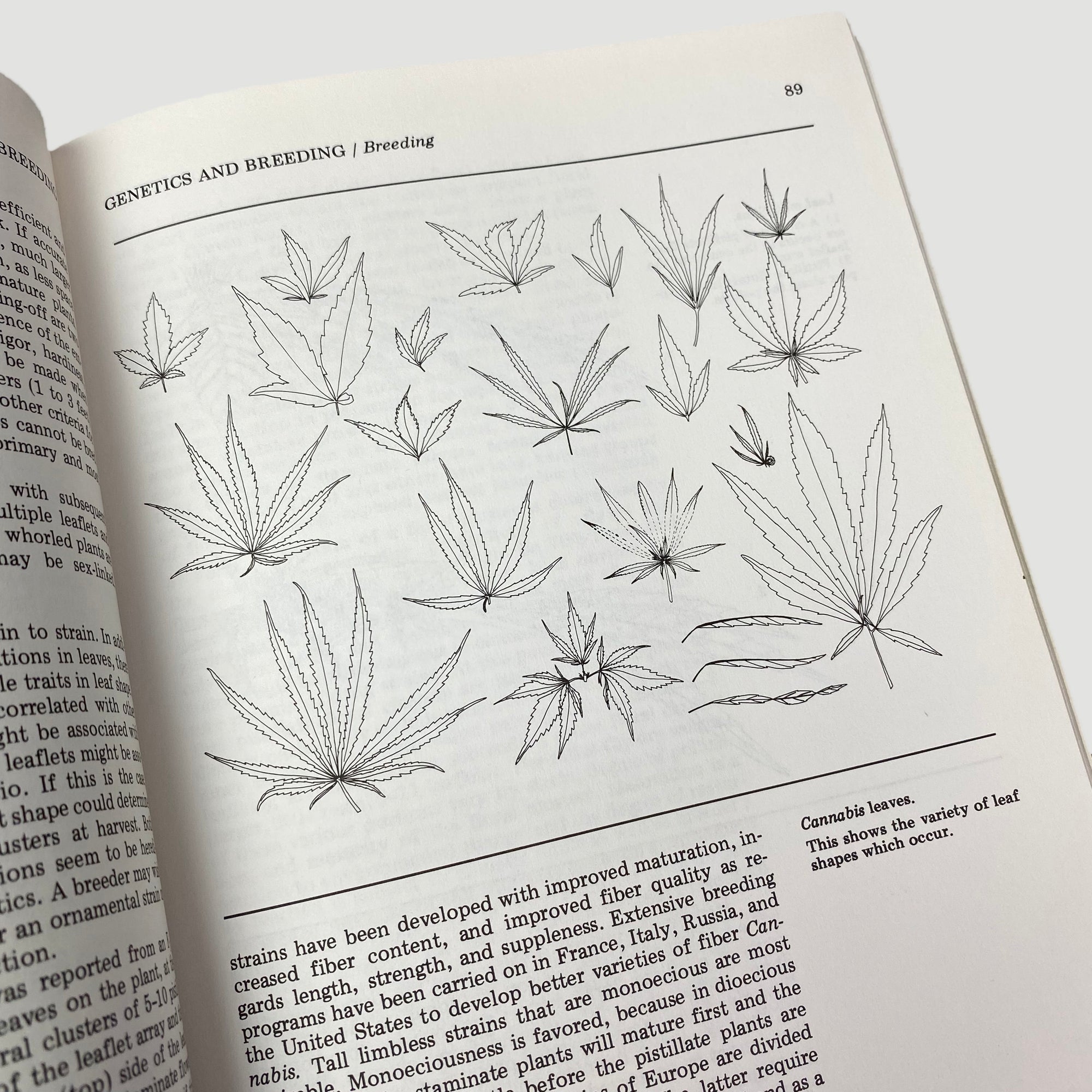 1981 Robert Connell Clarke 'Marijuana Botany'