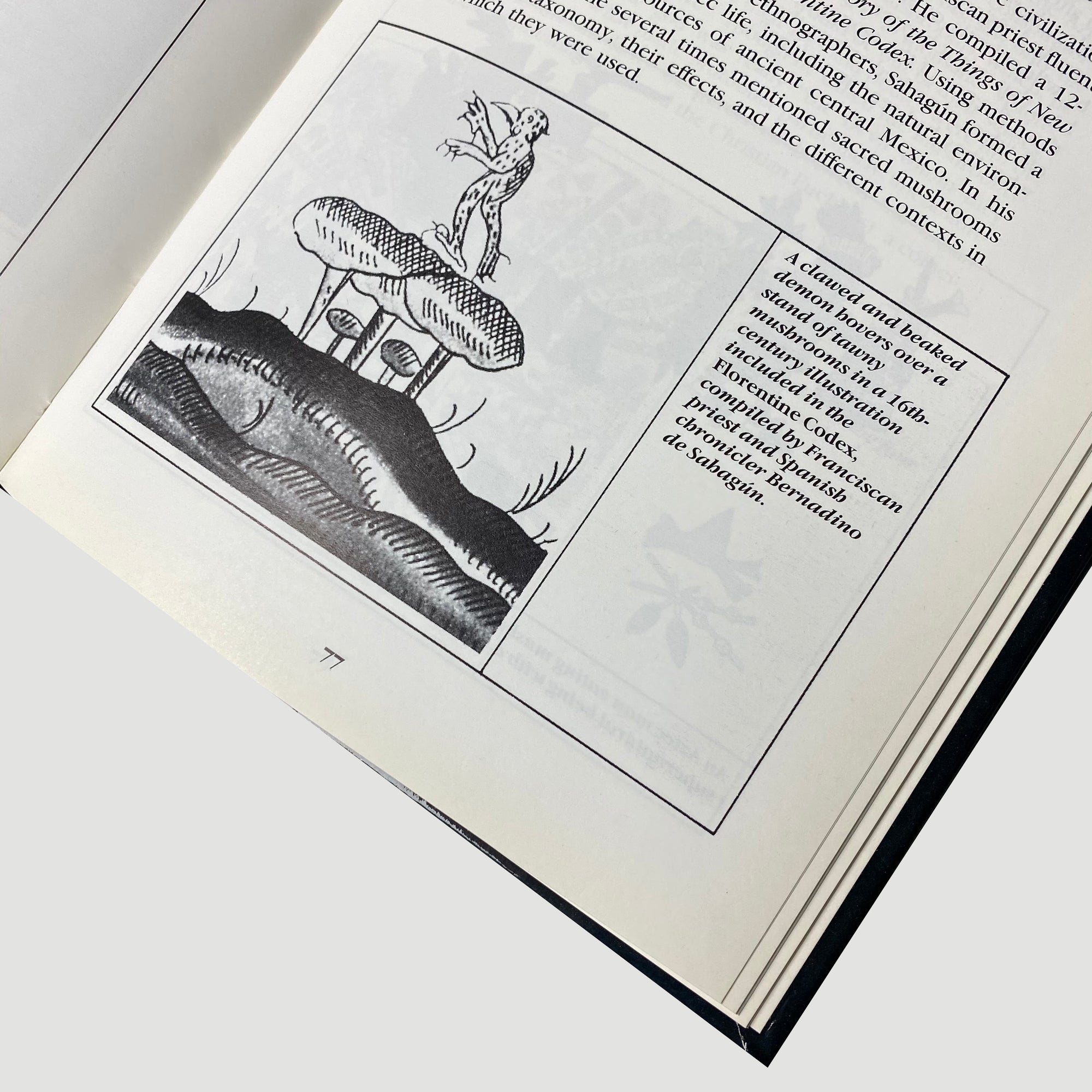 1986 Mushrooms: Psychedelic Fungi