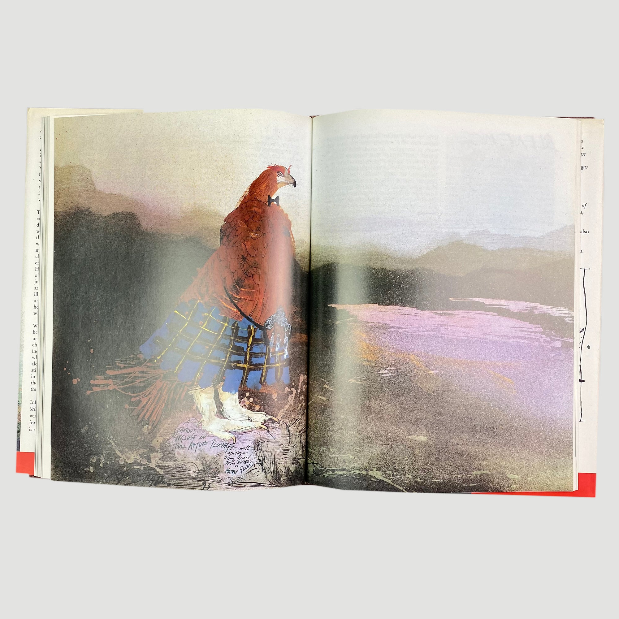 1994 Ralph Steadman ‘Still Life with Bottle: Whisky According to...’