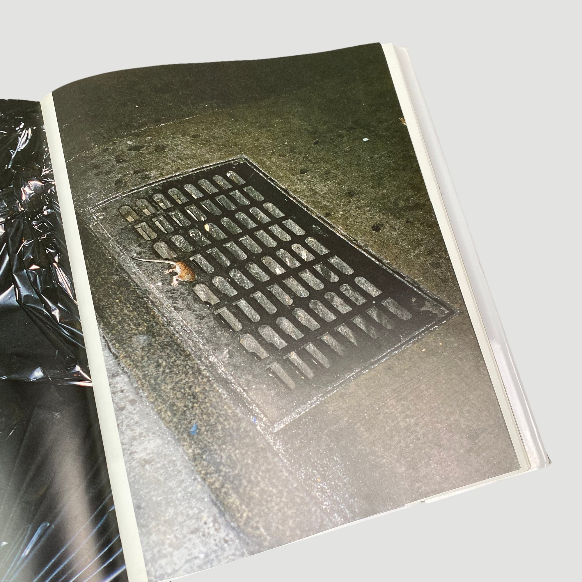 1998 David Deitcher 'Burg: Wolfgang Tillmans'