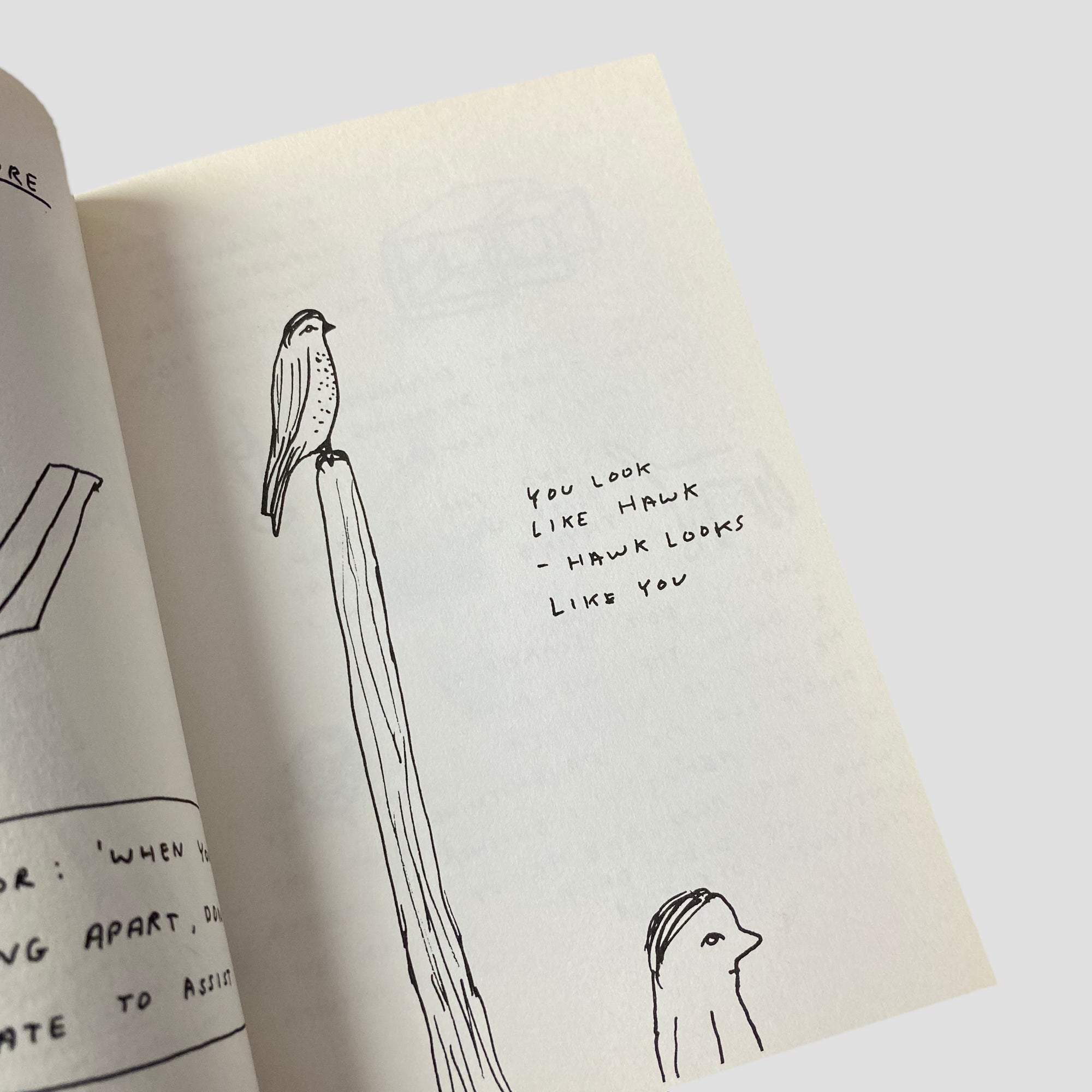 2000 David Shrigley 'Grip'