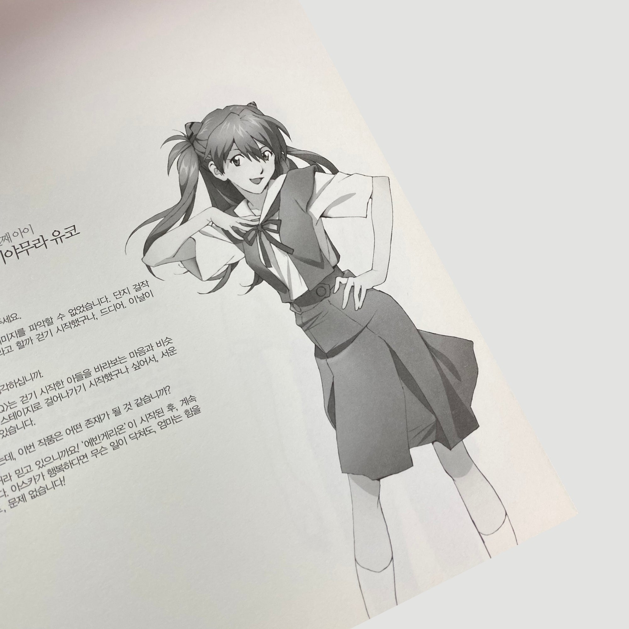 2012 Evangelion 3.0 You Can (Not) Redo Korean Programme