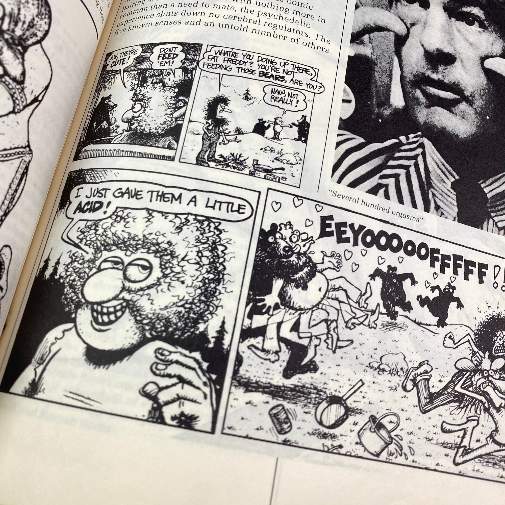 1978 High Times Encyclopedia of Recreational Drugs