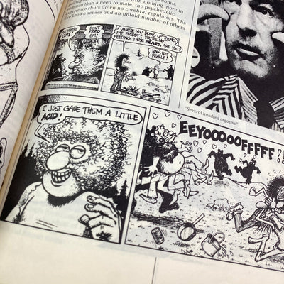 1978 High Times Encyclopedia of Recreational Drugs