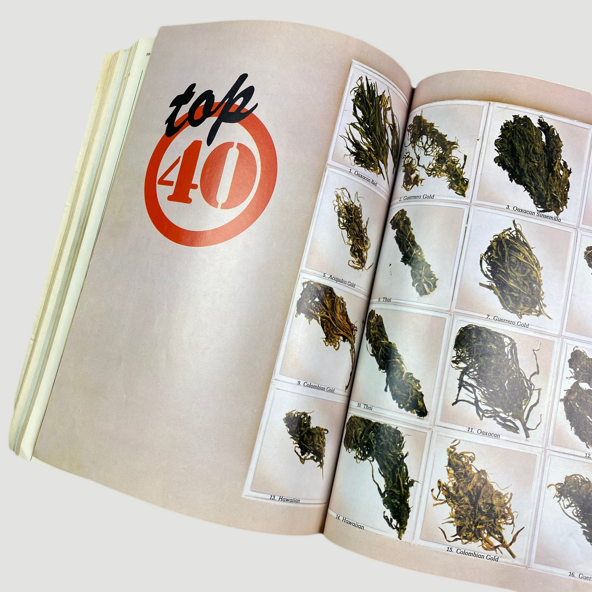 1978 High Times Encyclopedia of Recreational Drugs