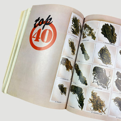 1978 High Times Encyclopedia of Recreational Drugs