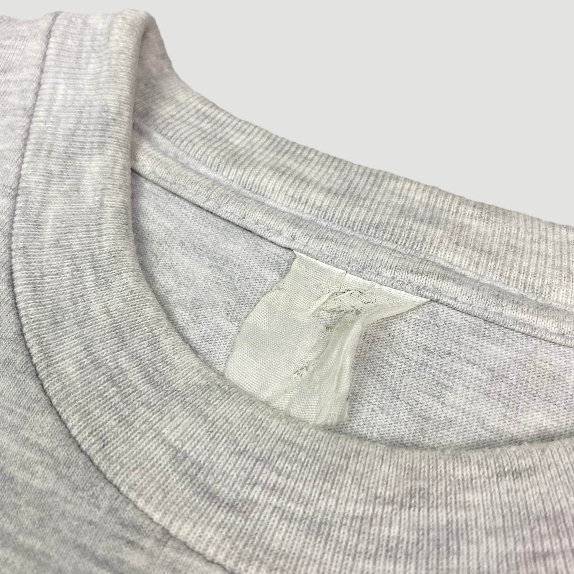 90's Rollins Band 'Search & Destroy' T-Shirt