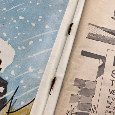 1969 LIFE Magazine Love Terror Cult Issue