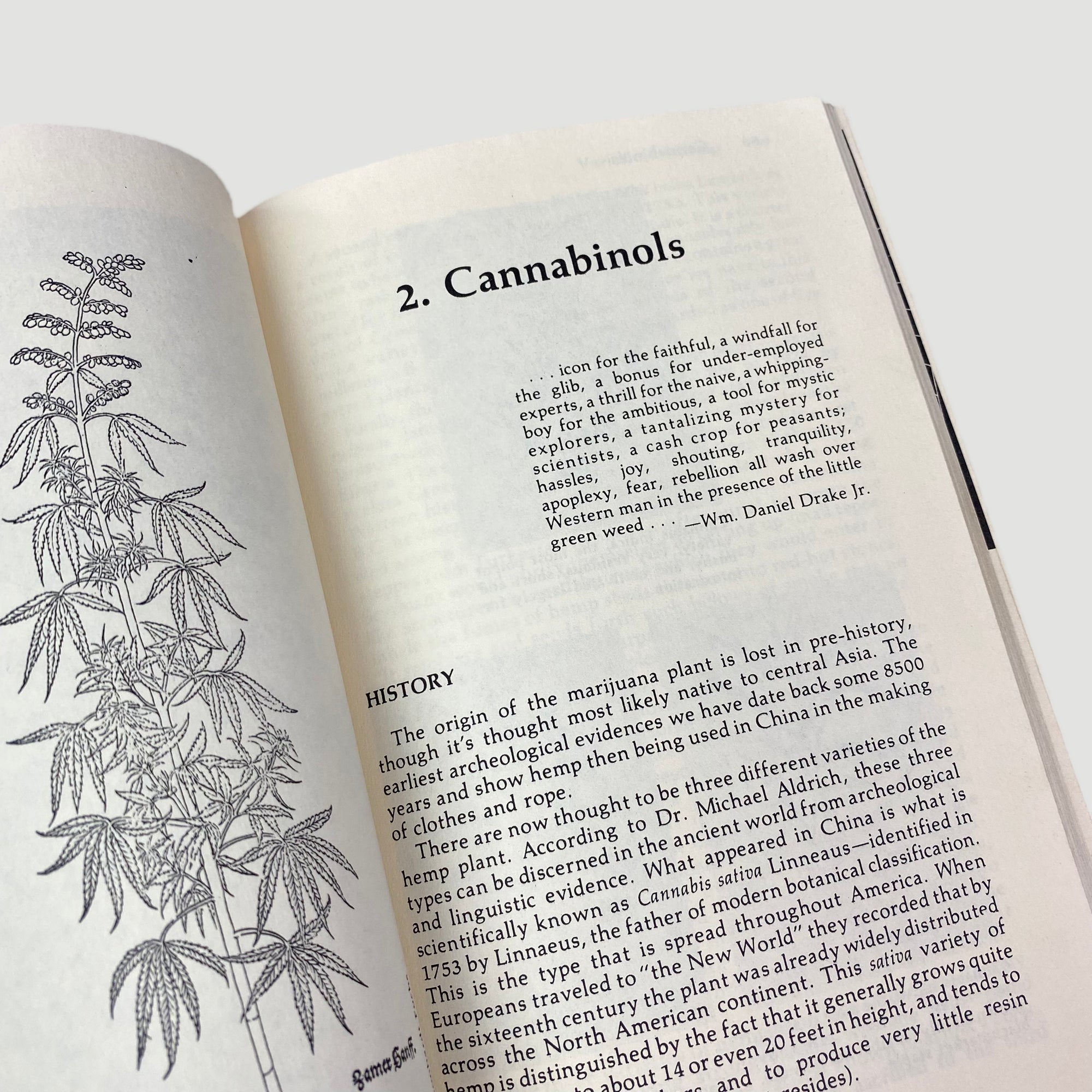 1977 Peter G. Stafford 'Psychedelics Encyclopedia'